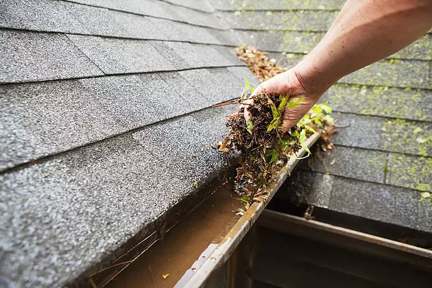 commercial gutter cleaning