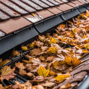 residential gutter cleaning